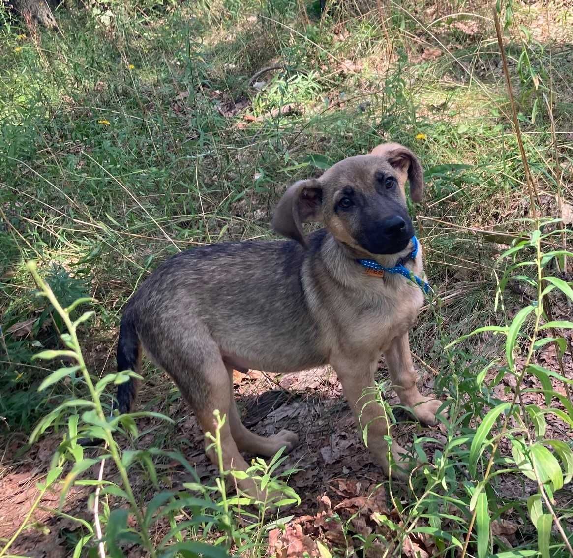 Красивий хлопчик, 5 міс