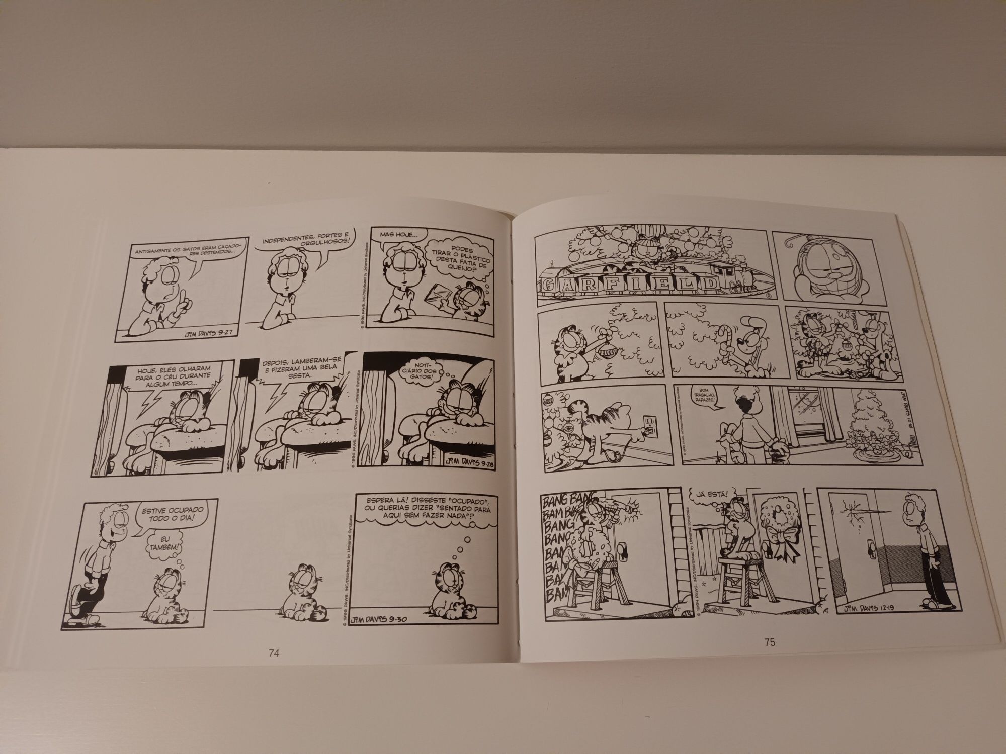 Livro de banda desenhada Garfield Viva a Amizade