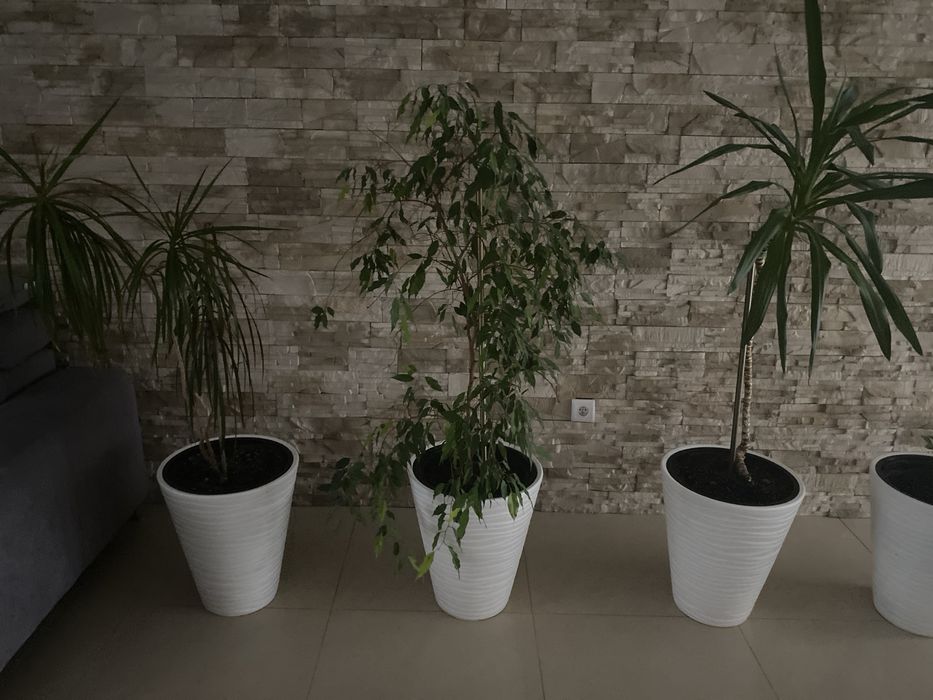 Donica okrągła Sahara 30x56,5