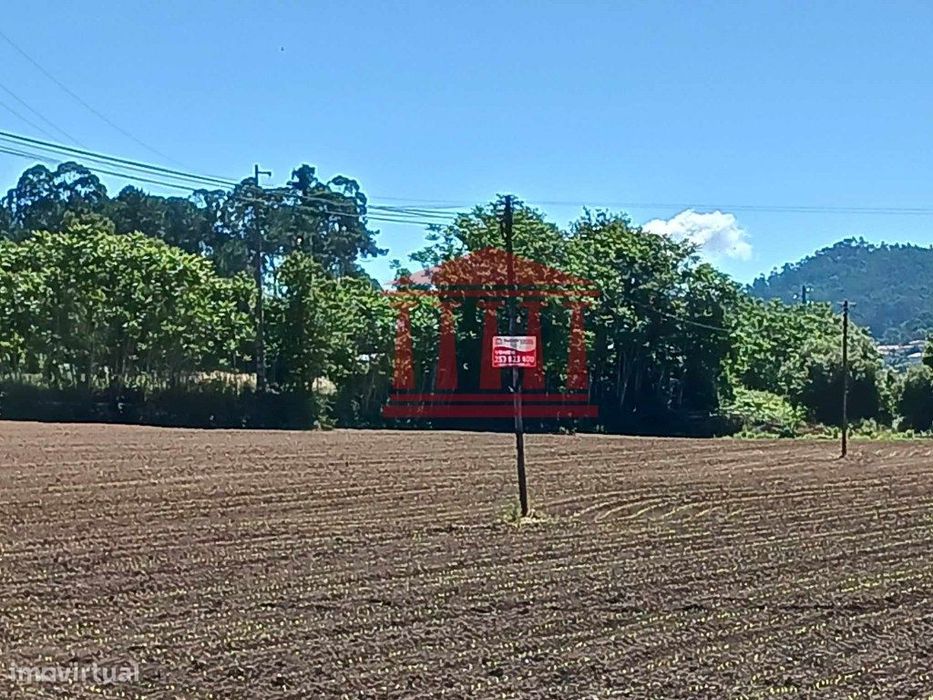 Terreno Agrícola