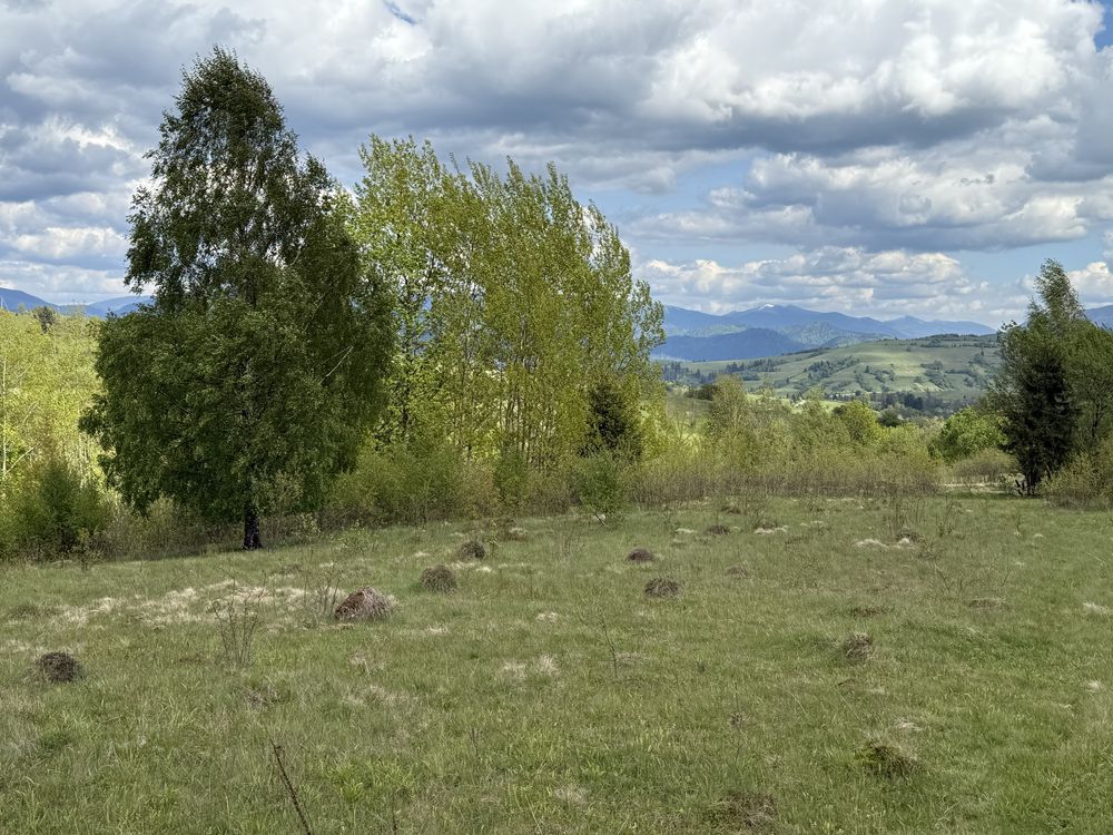 Продається файна ділянка в тиші у с. Потік