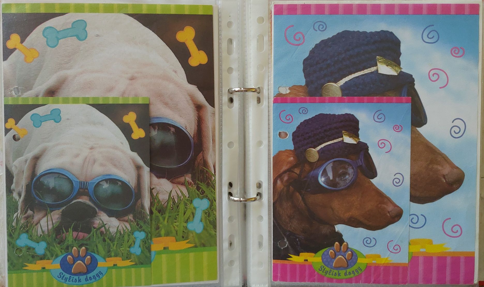 Karteczki do segregatora Zwierzęta