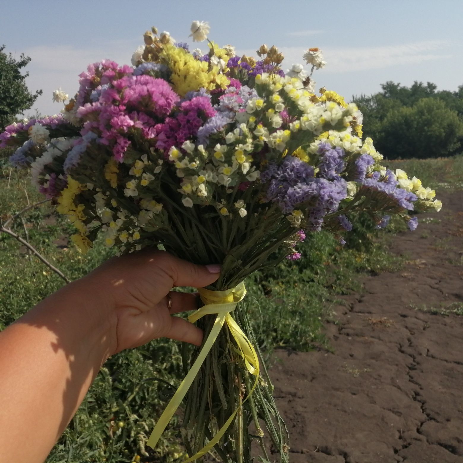 Букет із сухоквітів