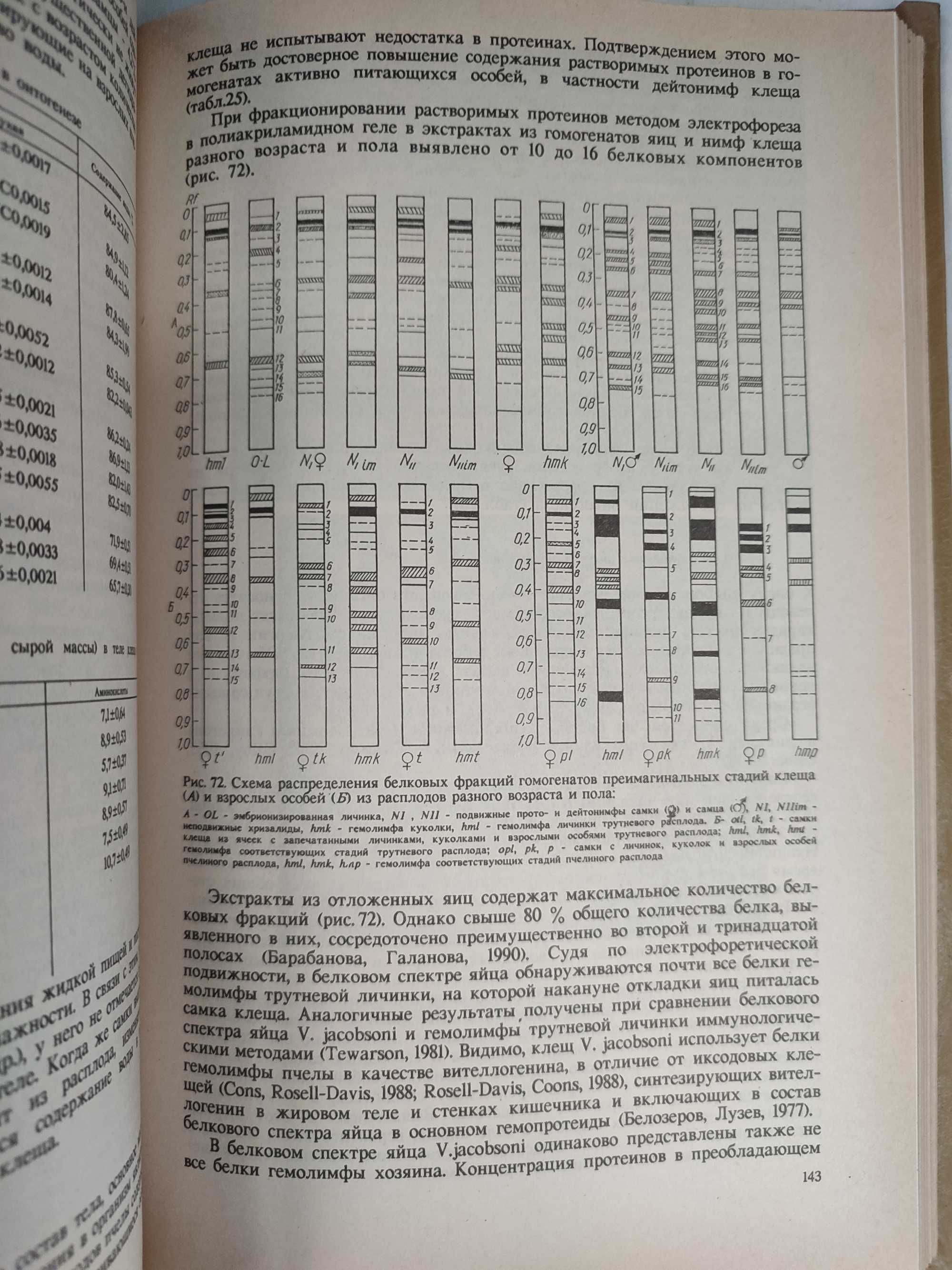 Пчелиный клещ Varroa Jacobsoni Варроа Варроатоз пчёл