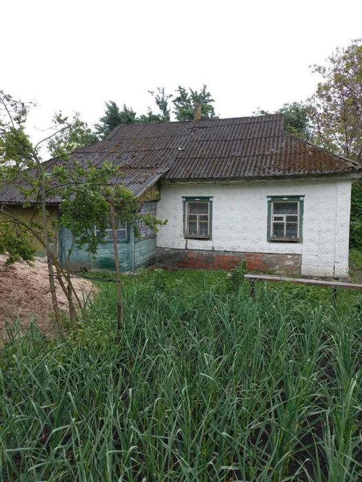 Продам будинок в селі Хитці ( 18 соток )