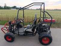 Quad   Buggy 250