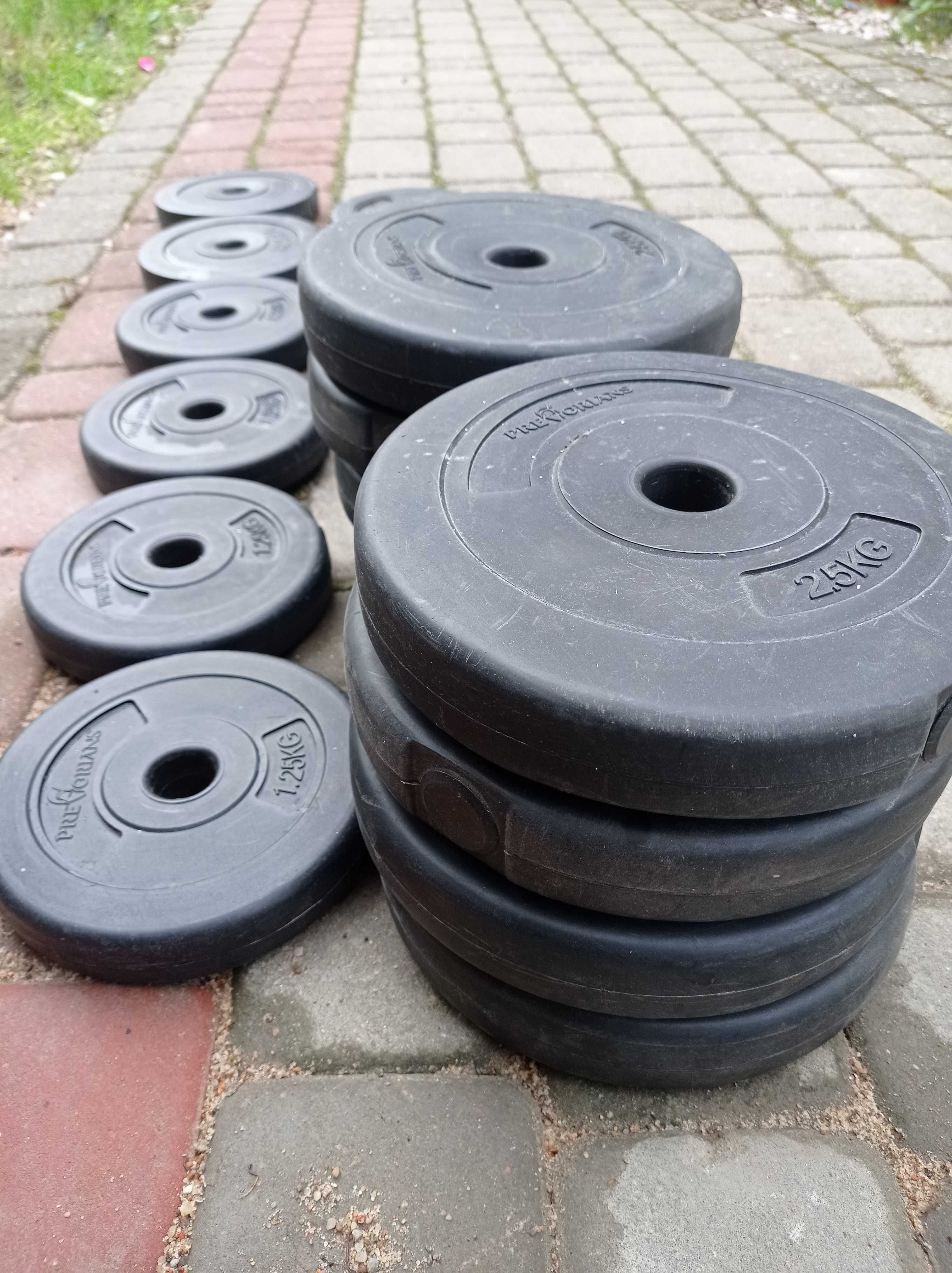 Ciężarki obciążenie siłownia 37,5kg