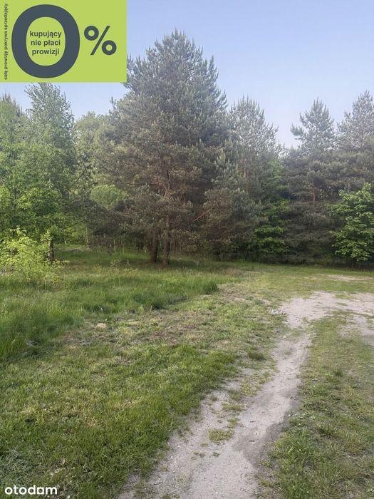 Wyjątkowa Działka Budowlana W Otulinie Lasu