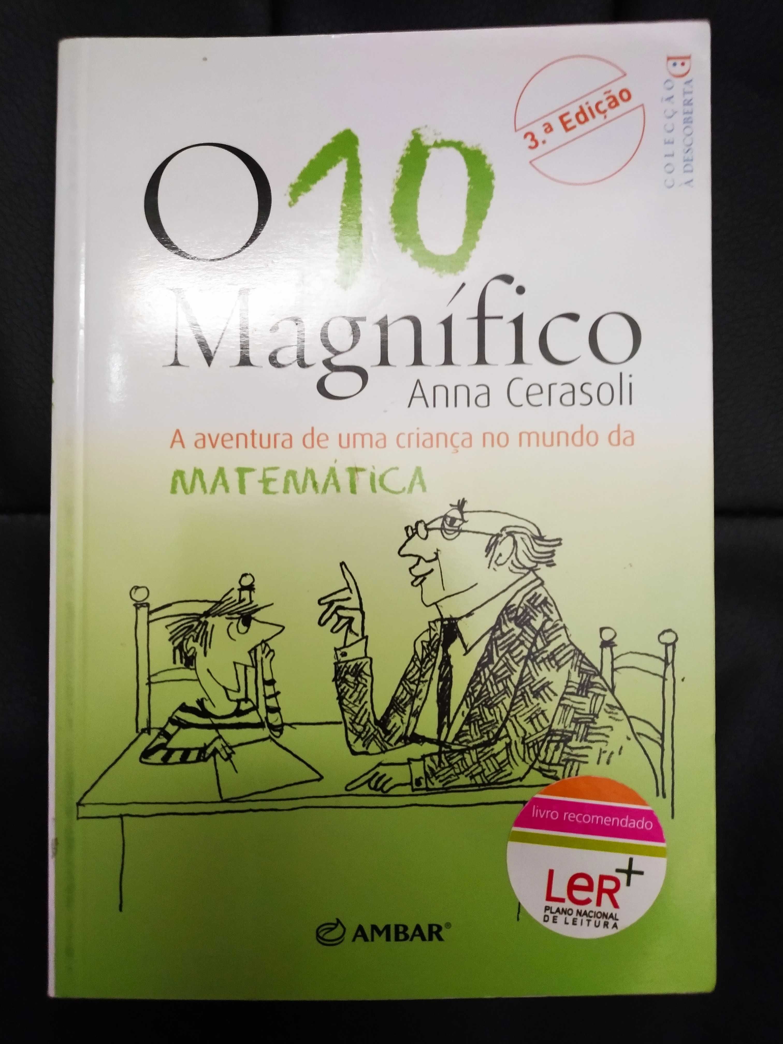 livro que ajuda a entender a matemática