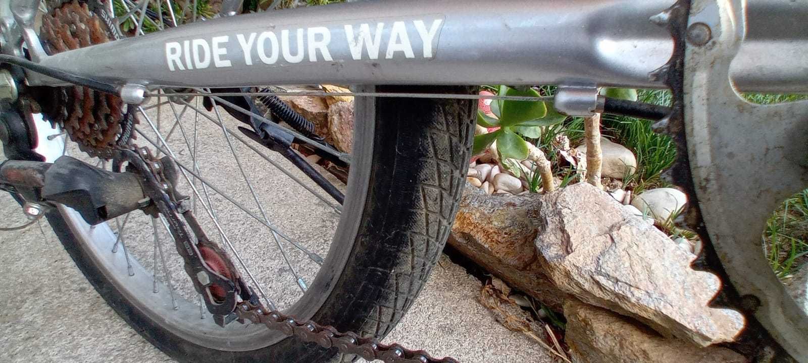 Bicicleta dobrável com AMORTECEDOR