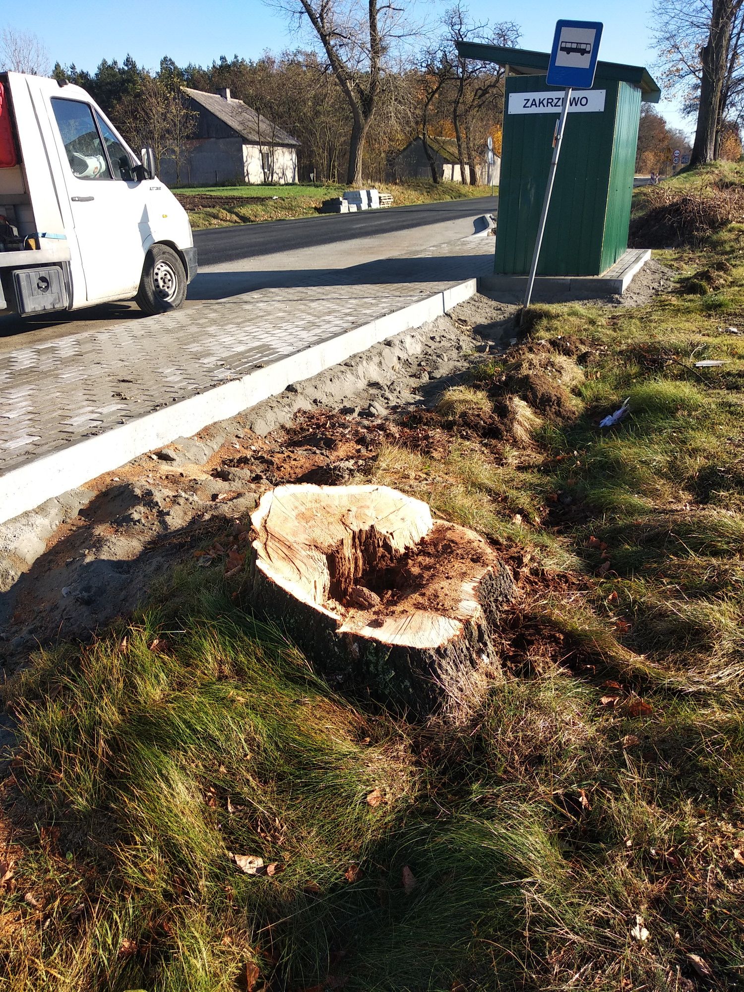 Frezowanie pni drzew darmowa wycena  karczowanie mulczowanie gwarancja