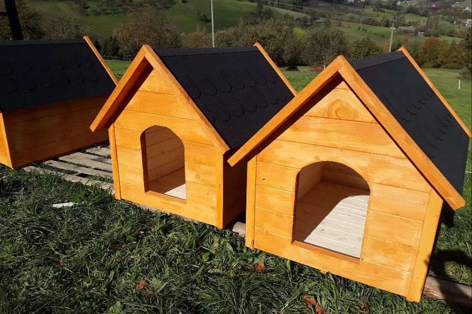 Budy chatki dla piesków