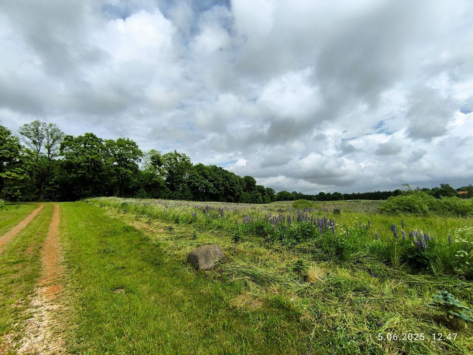 Działka rolna 3000m2