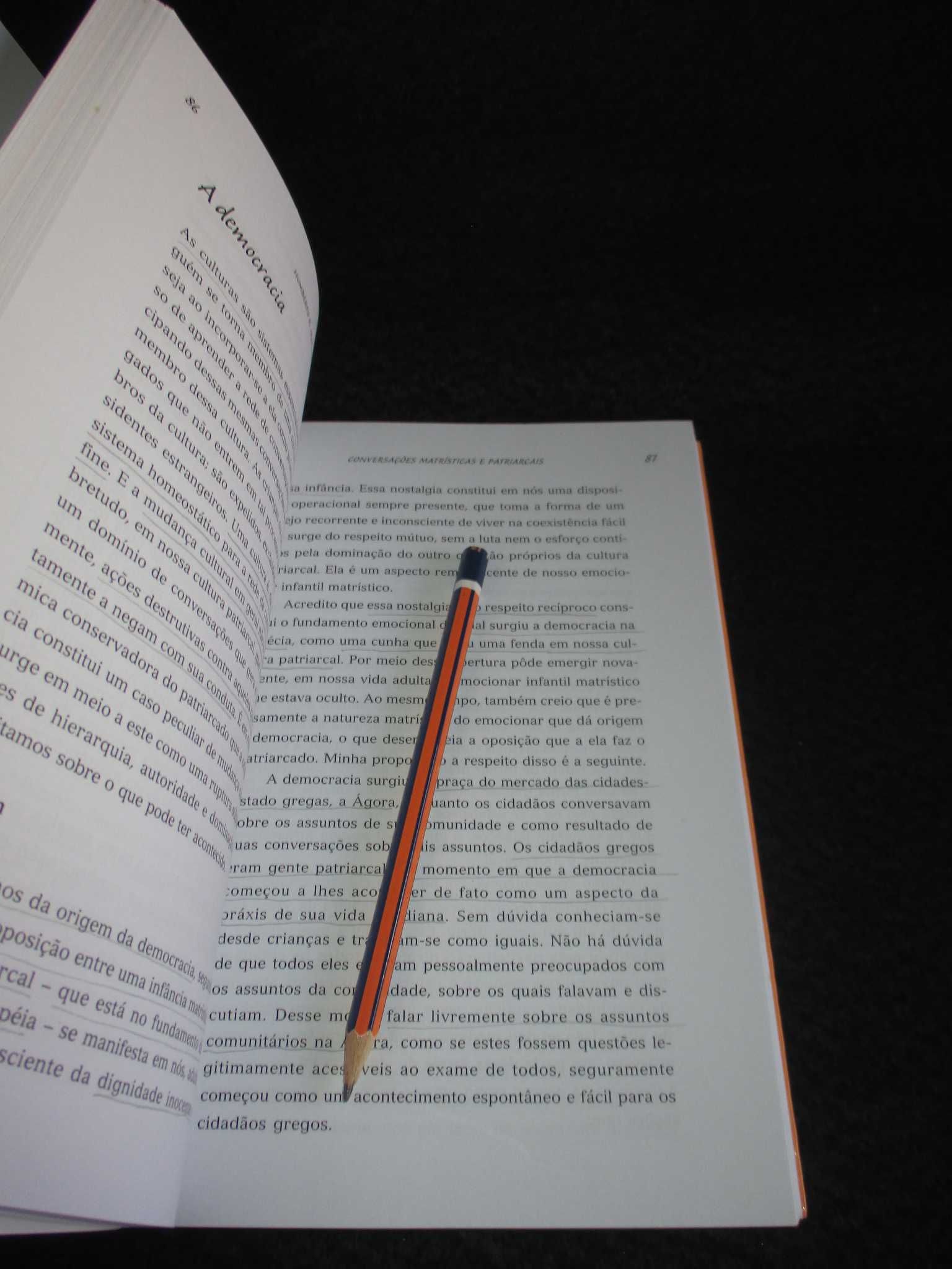 Livro Amar e Brincar Fundamentos esquecidos do humano