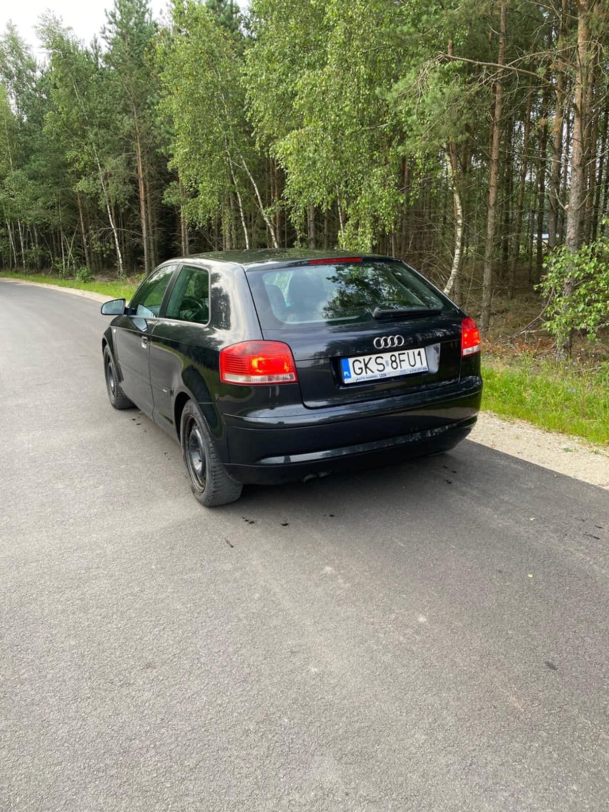 Audi a3 8P 1.9 Tdi