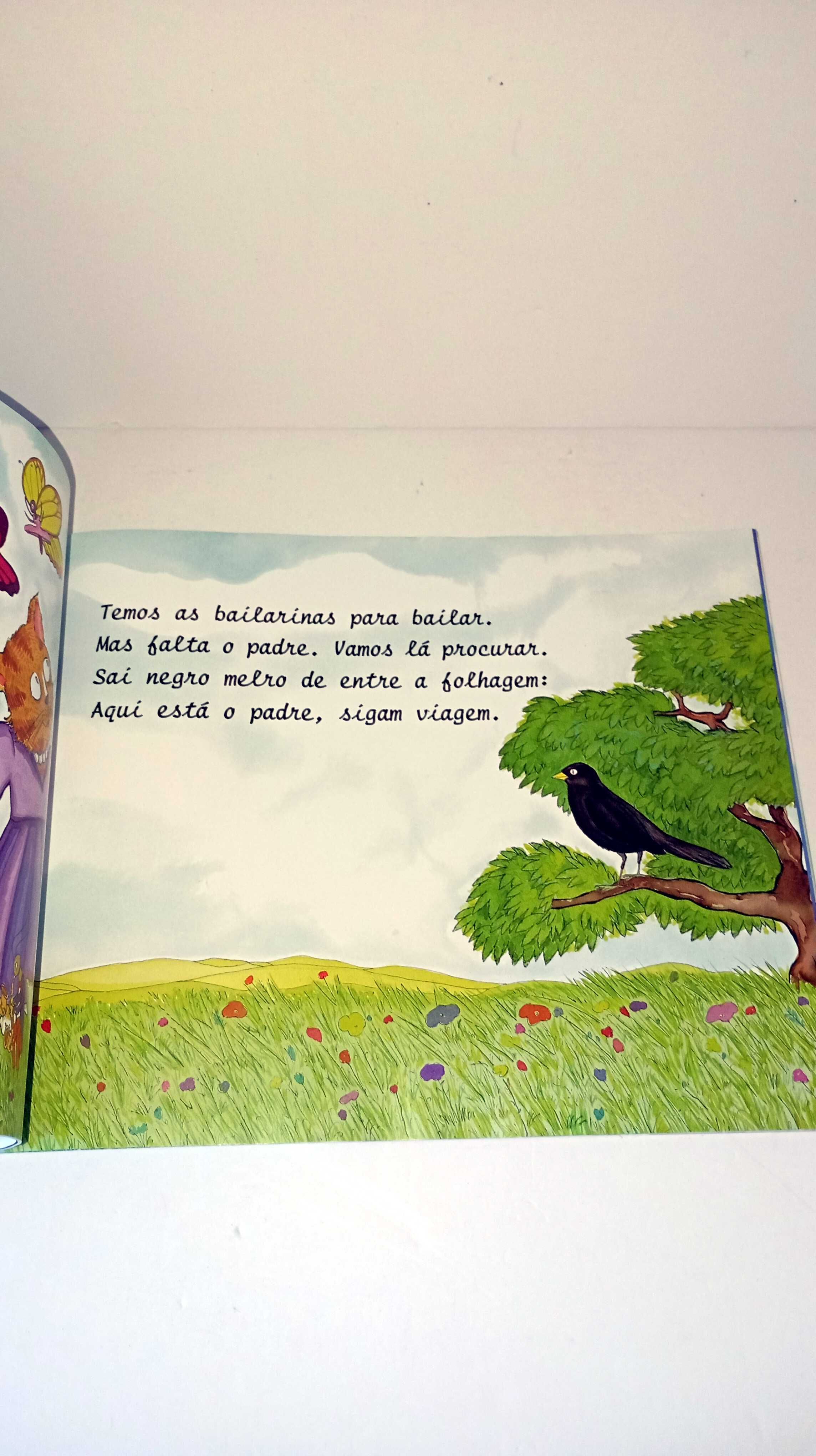 O Casamento da Gata - Luisa Ducla Soares