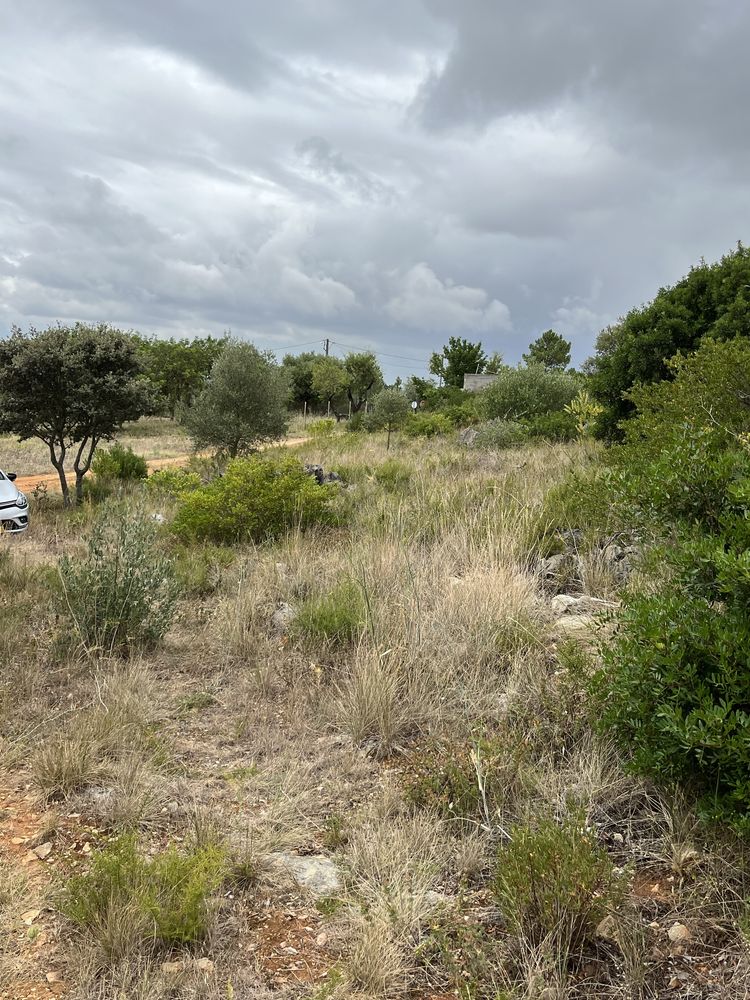 Terreno Rustico - Pedrogao - Serra de Aire e candeeiros
