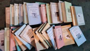 Lote Livros Literatura Coleção Mil Folhas  -Cada 3 €