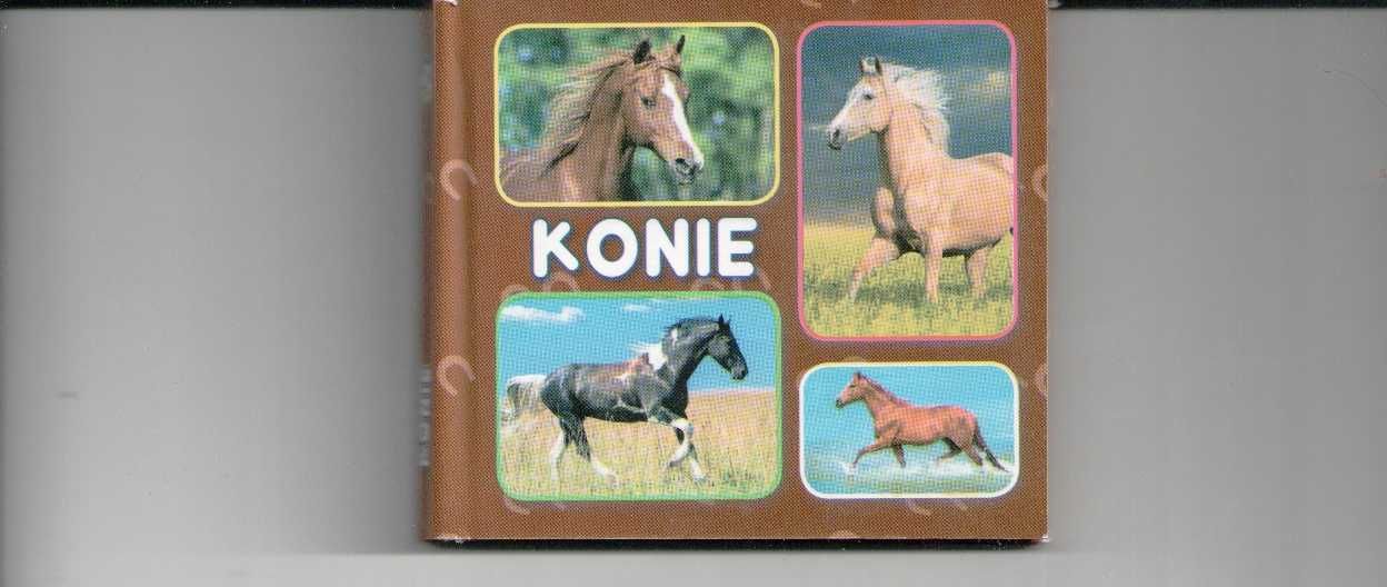 Konie Wydawnictwo Literat