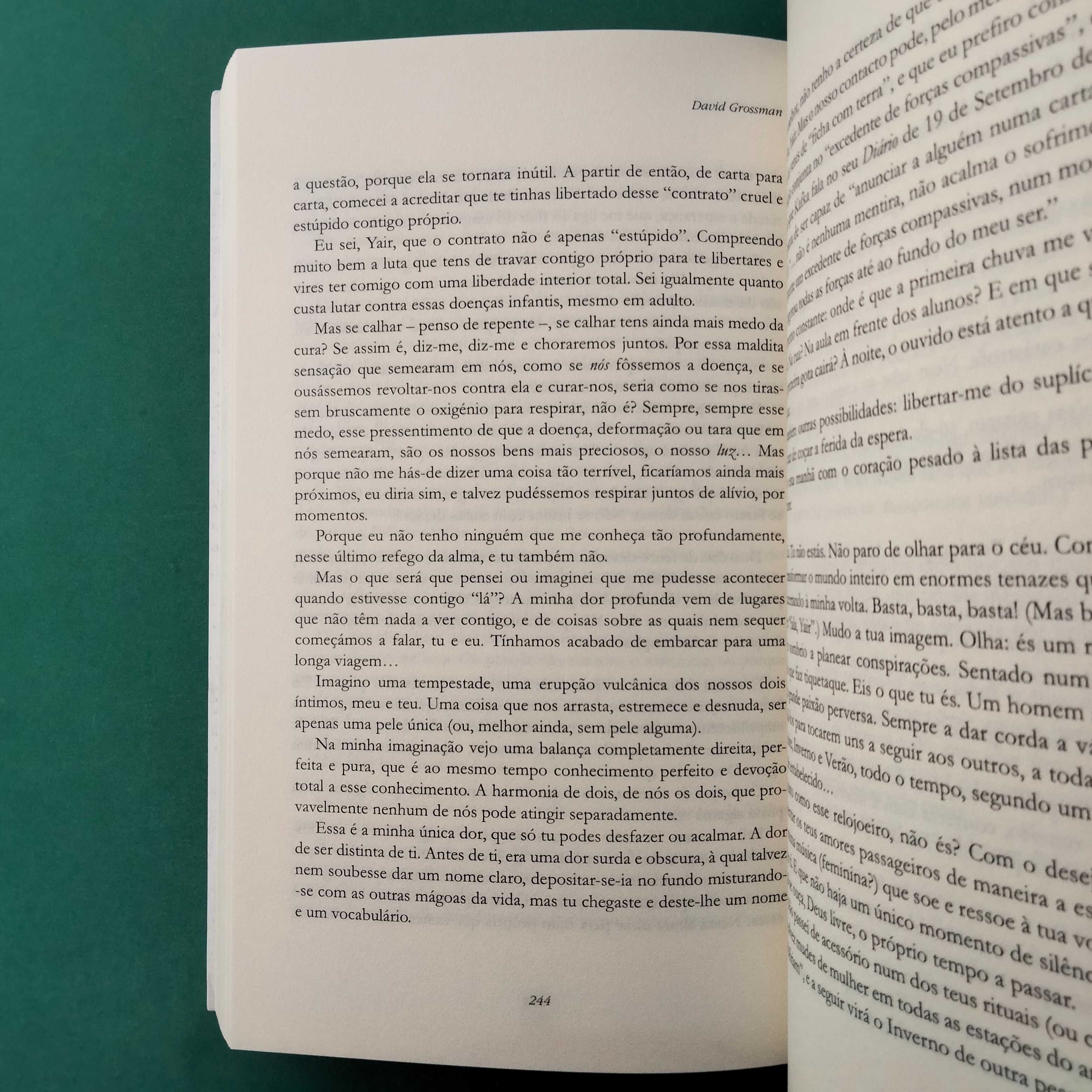 Em Carne Viva - David Grossman