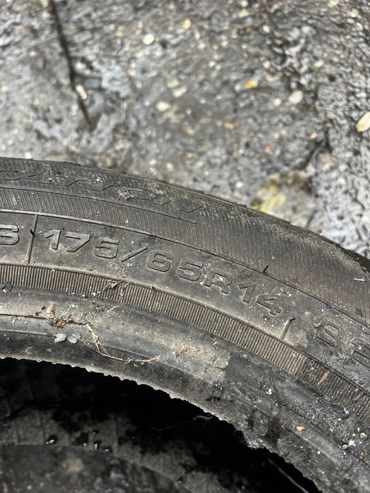 Opony zimowe Dębica Frigo 2 175/65 R14