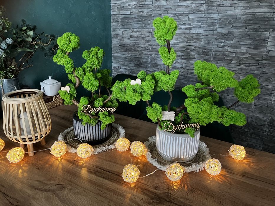 Podziękowania dla Rodziców drzewo z mchu personalizacja