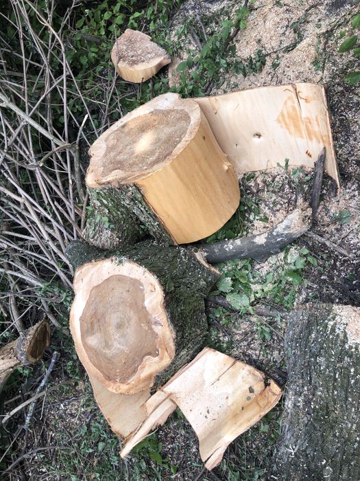 Продам дрова рубані