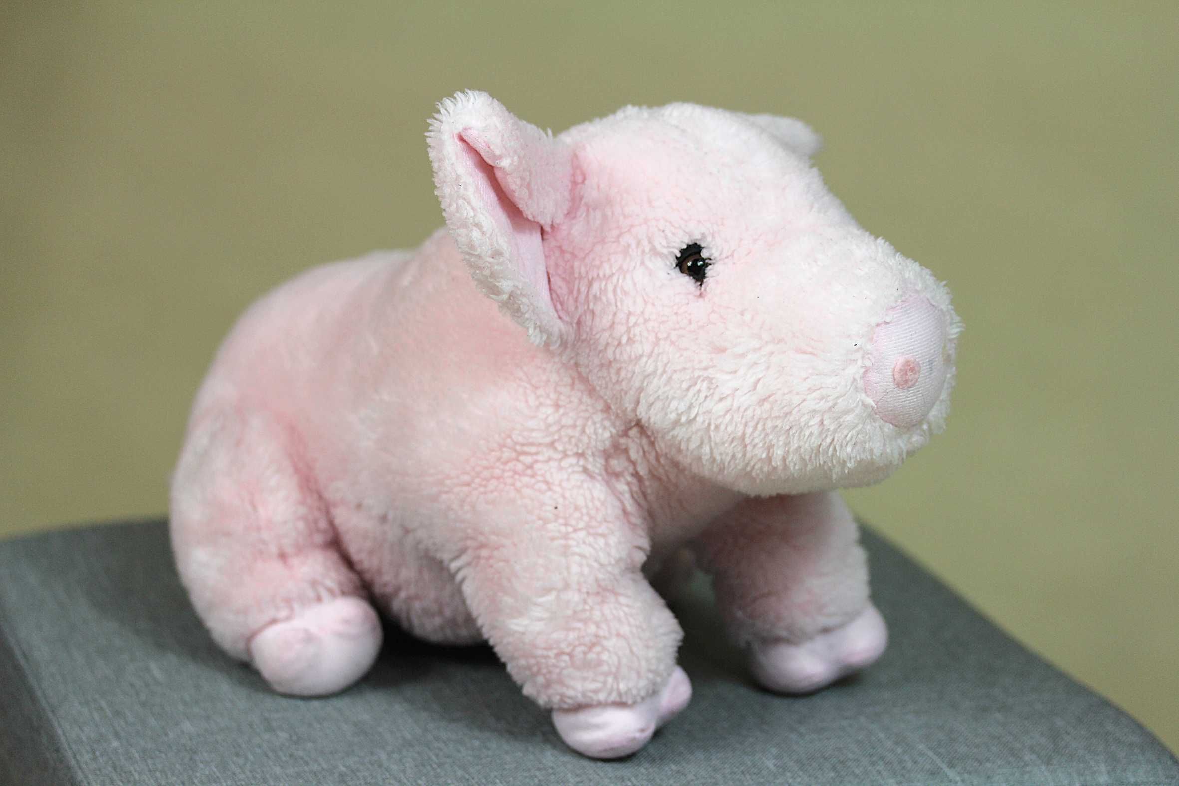 Pluszak różowa świnka z prosiaczkami