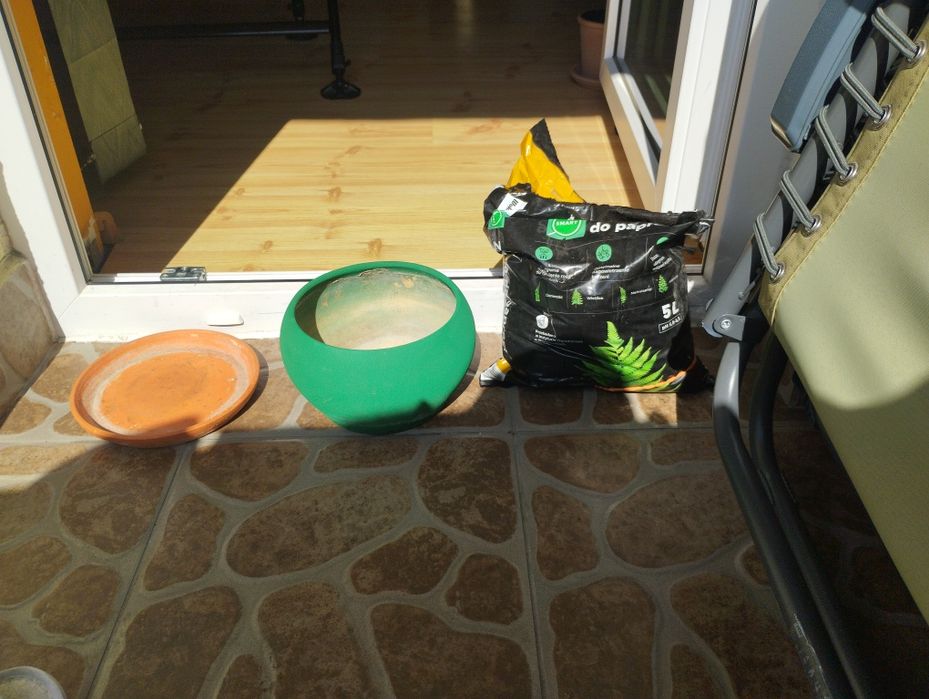 Sama ziemia do paproci nowa 2,5/