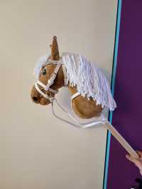 Happy hobby horse