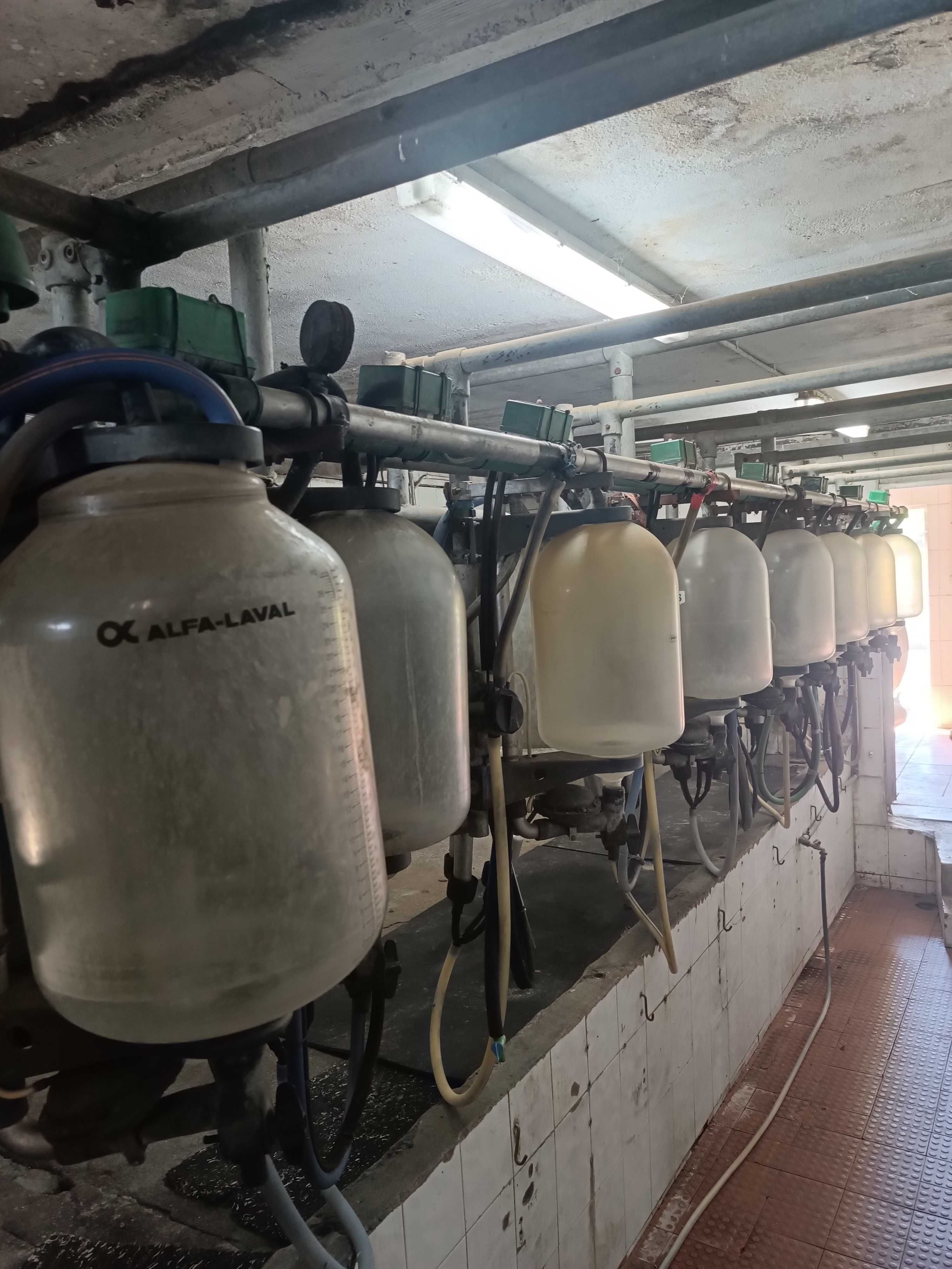 Venda de Equipamentos de Estábulo e Sala de Ordenha