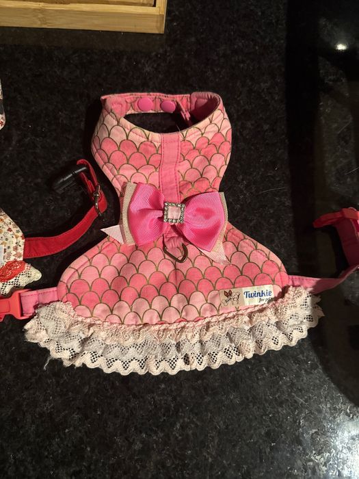 Roupa/Vestuário Chihuahua ( cão ou gato bebe)