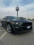 Ford Mustang GT 5.0 448 KM Piękny kolor, Butelkowa zieleń