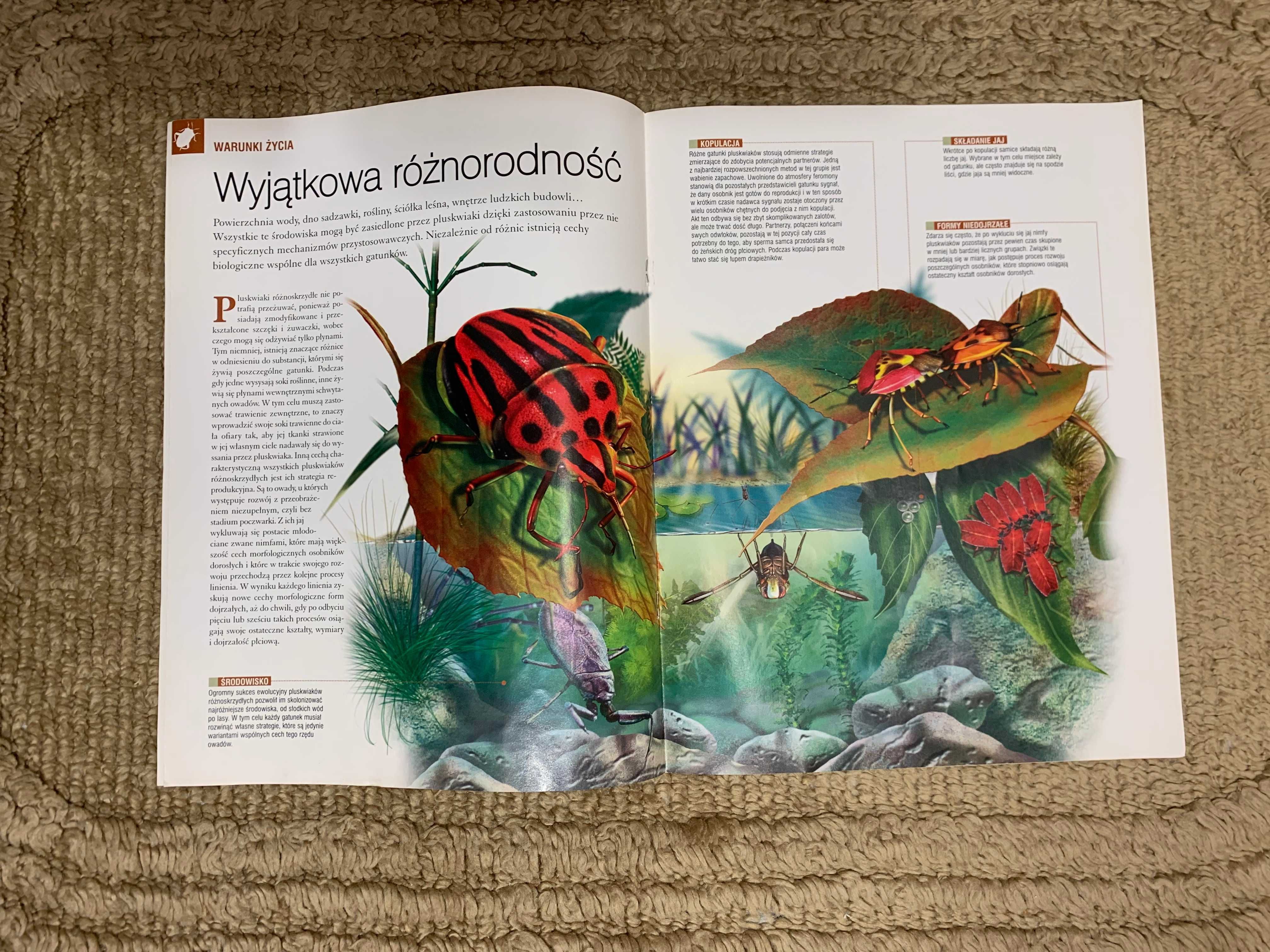 Prawdziwe owady i pajęczaki - gazetka nr 12 z kolekcji - pluskwiaki