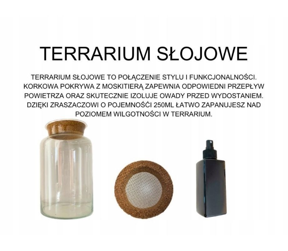 Terrarium słojowe dla patyczaków