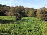 Terreno a Venda em Alcanede - Santarém