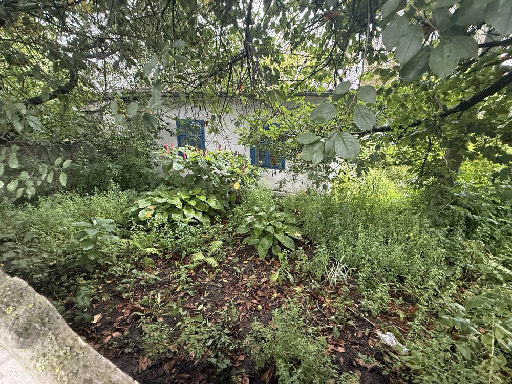 Продам земельну ділянку 20 соток із садом та городом