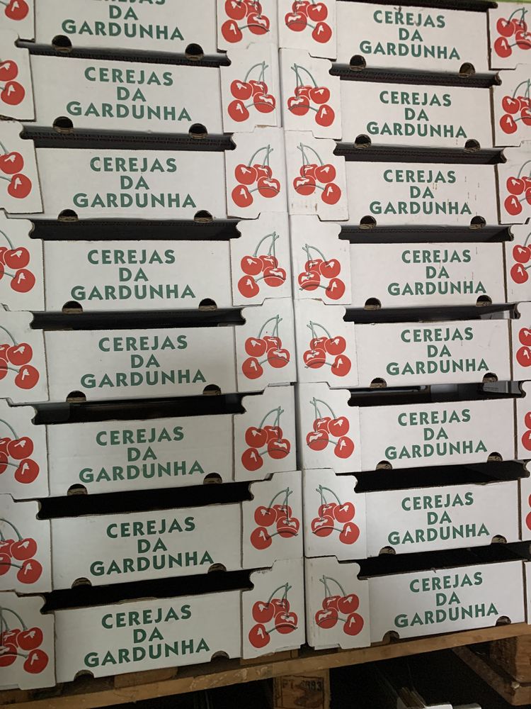 Caixas para fruta usadas