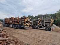 DrewKom Drewno kominkowe Jesion kłoda dl. 2,5m S4 S2a transport HDS