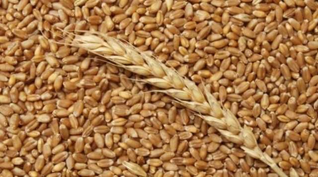 Продам пшеницю 2 тонни. Ціна договірна!