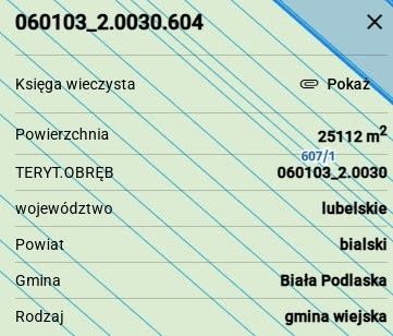 Sprzedam las , Biała Podlaska