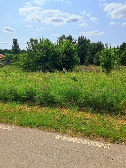 Twoja Działka Na Jurze Bez Sąsiadów Cisza Spokój