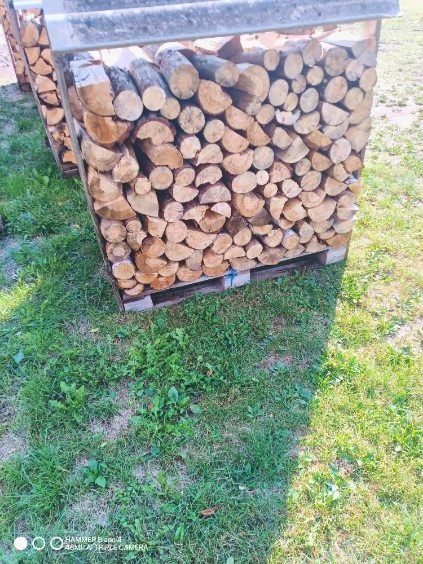 Opał sosna drzewo opałowe