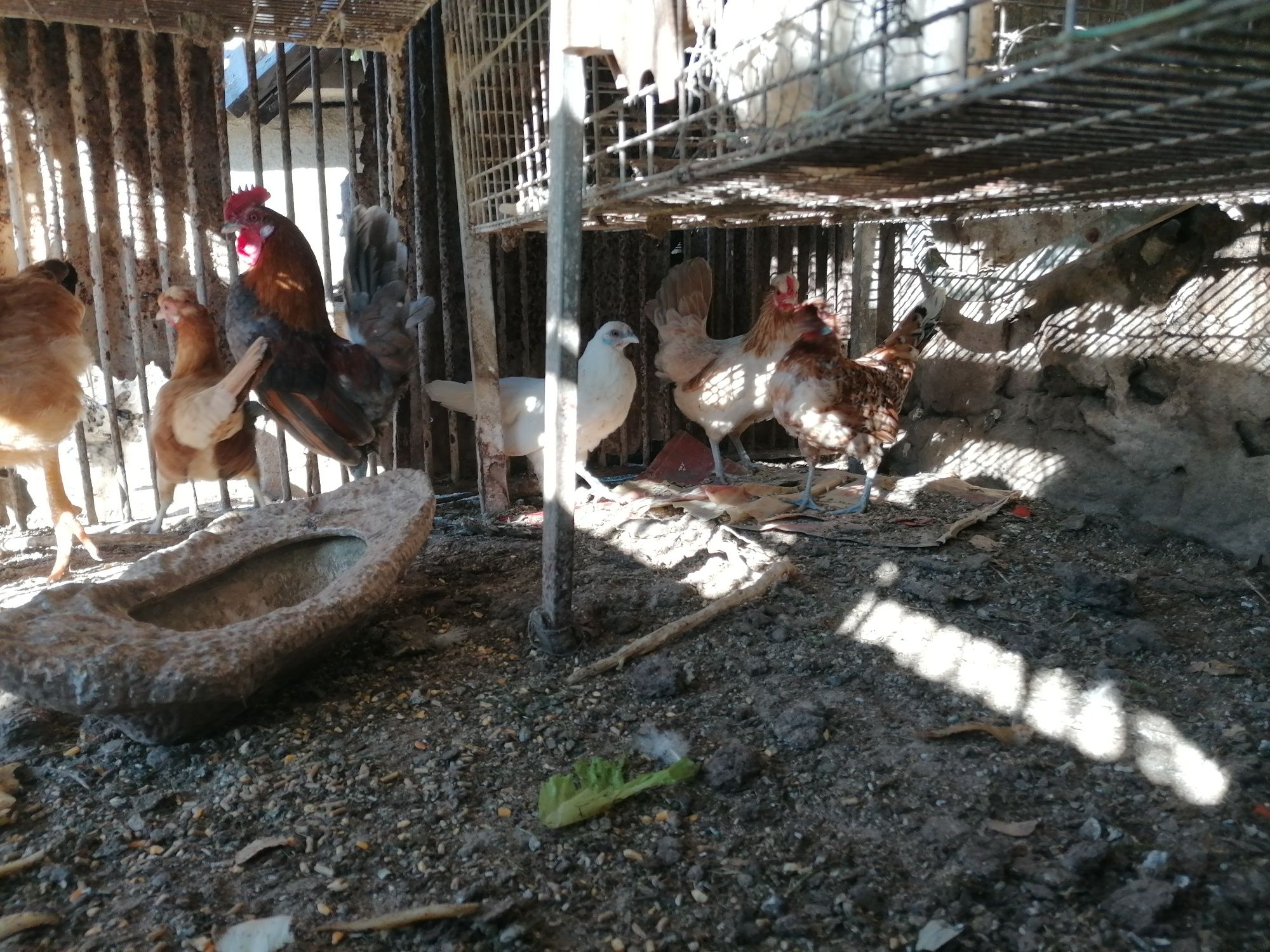 Garnizés para venda