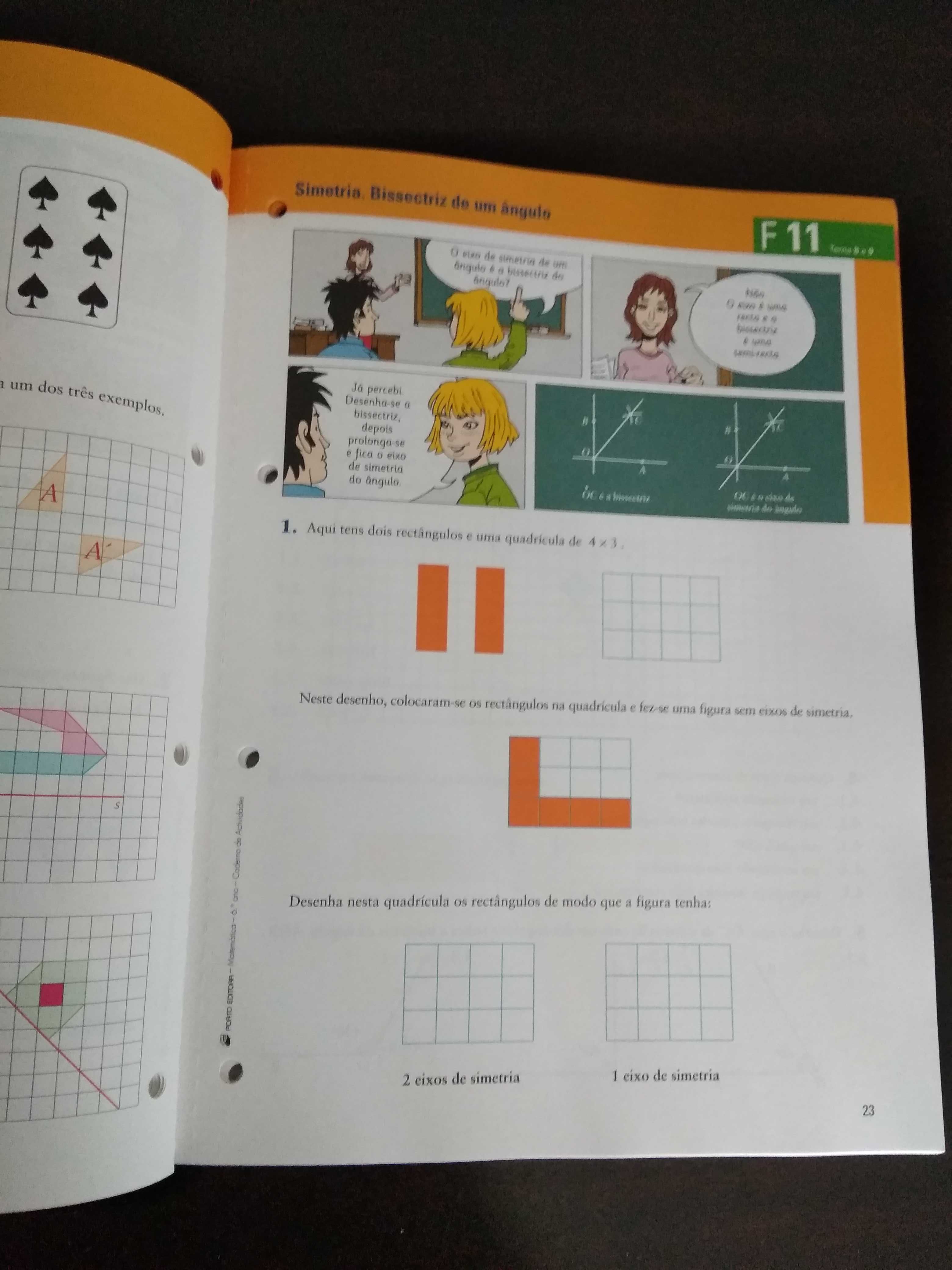 Manual e Caderno de atividades Matemática 6ºano