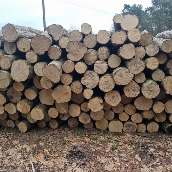Drewno Kominkowe i Opałowe Suche i Na Bieżąco Łuków i Okolice