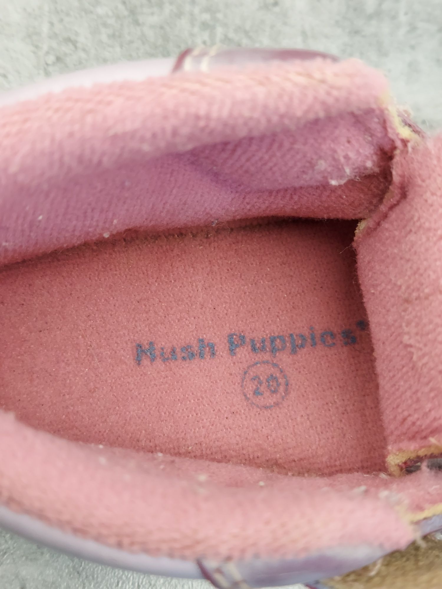 Trzewiki, botki Hush Puppies roz.20 skóra naturalna
