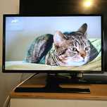 Monitor / Telewizor TV 24" LED Samsung LT24E390 2 w 1