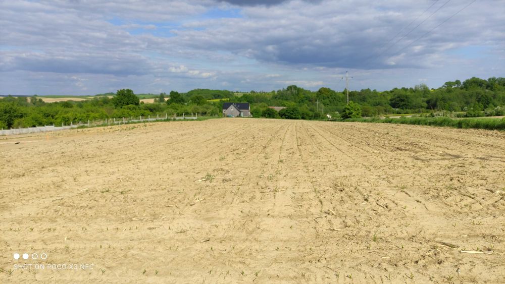 Działka siedliskowa Radłów 0,54h gm. Zawonia pow. Trzebnica