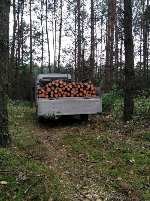 Stemple budowlane 3,2m nieużywane